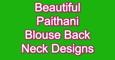 Beautiful Paithani Back Neck Blouse Designs – Blouse Designs