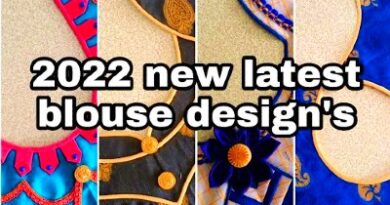 Beautiful 20 + Designer Back Neck Blouse Designs