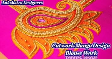 New Stunning Designer Aari Cut Work Mango Blouse Designs