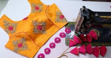 New Designer Princess Boat Neck Blouse Cutting and Stitching