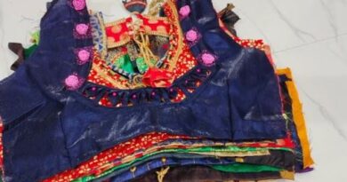Paithani Designer Blouses Latest New Stunning Gala Blouses