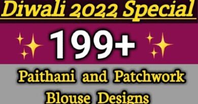 New 199 + Paithani and Patch Work Blouses