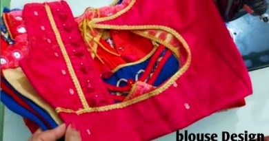 Beautiful Back Neck Blouse Designs – Blouse Designs