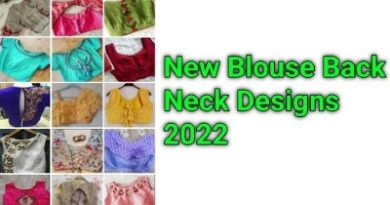 New Designer 2022 Back Neck Blouse Designs