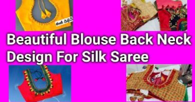 Beautiful Silk Pattu Blouse Designs