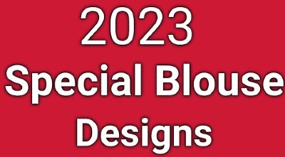 New 2023 Special Back Neck Blouse Designs